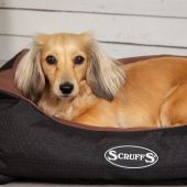 Scruffs Expedition Dog Box Bed - Chocolate - Medium
