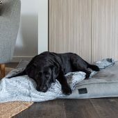 Superior Pet Goods Calming Dog Blanket - Artic Faux Fur