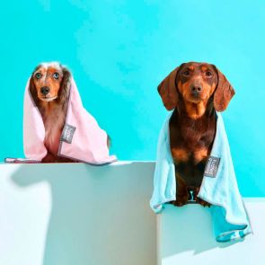 FuzzYard Puppy Microfibre Dog Towel - 2 Blue & 2 Pink [SAVE $6.90]