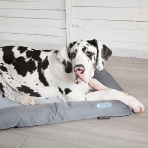 Scruffs Cool Dog Bed