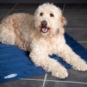 Scruffs Cooling Dog Mat