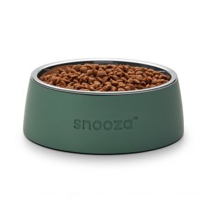 Snooza Concrete & Stainless Steel Dog Bowl - Green