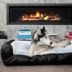 Superior Pet Goods Scooby Dog Sofa - Vegan Leather & Everly Faux Fur