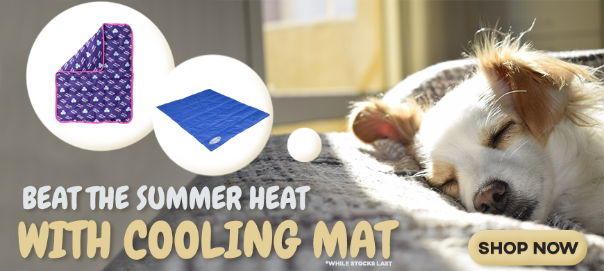 Cooling Mats & Beds